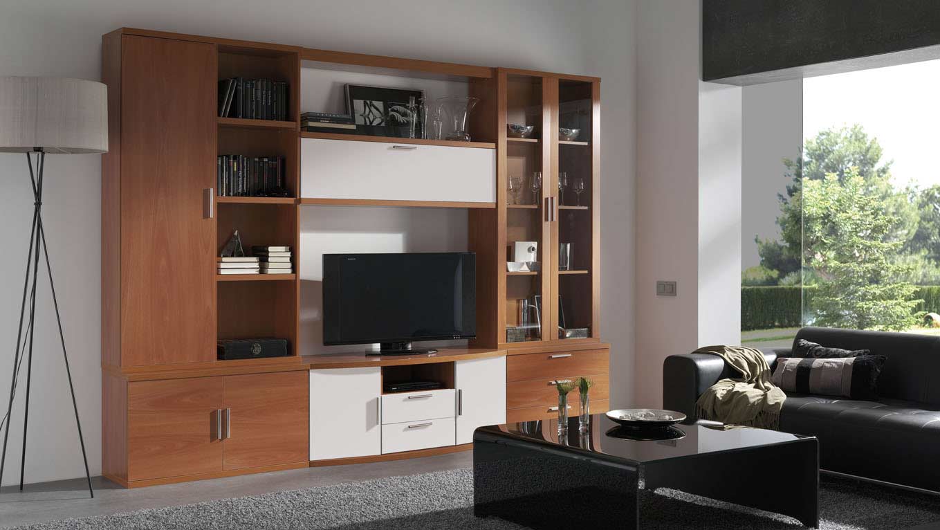 amazing storage planned in a tv units manufactured by the design indian kitchen company in noida and Delhi